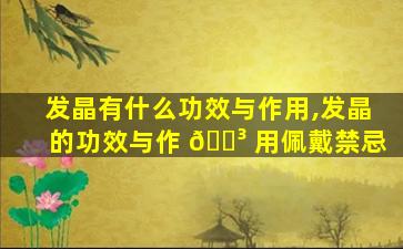 发晶有什么功效与作用,发晶的功效与作 🐳 用佩戴禁忌